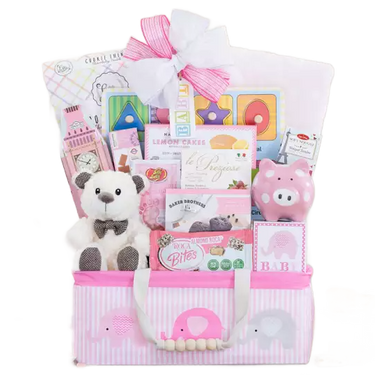 Bundle of Joy - Pink Baby Gift