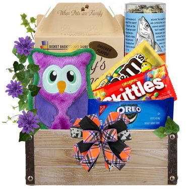 What a Hoot Halloween Dog & Owner Gift