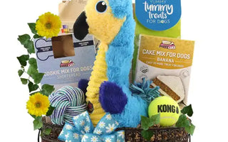 How To Celebrate Your Dog's Birthday