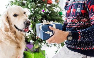 Six Gift Suggestions For New Dog Owners