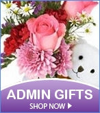 Admin Gift Baskets