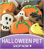 Halloween Pet Gift Baskets