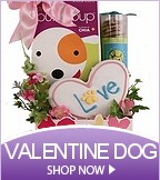 Valentine's Day Pet Gifts