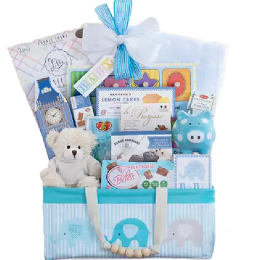 Bundle of Joy - Blue Gift Basket