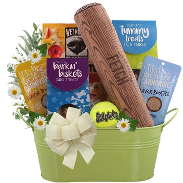 Fetch and Catch Dog Gift