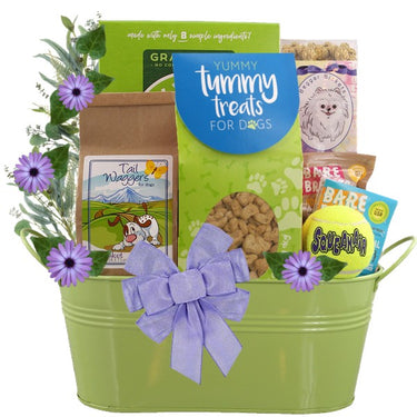 Shenanigans Dog Gift