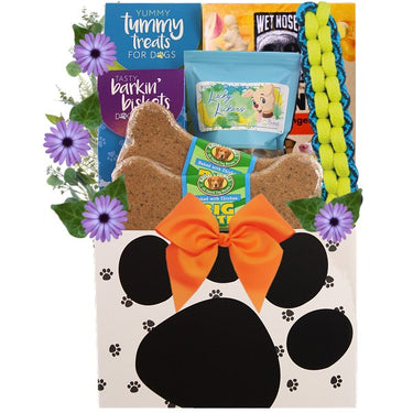 Chills & Thrills Halloween Dog Gift