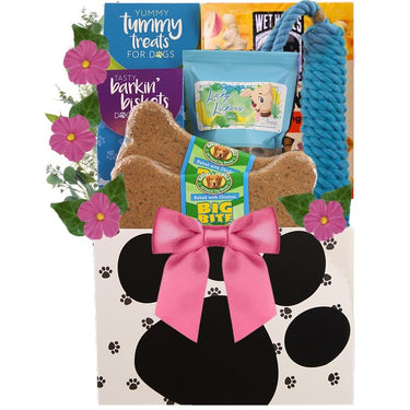Love Sick Valentine Dog Gift