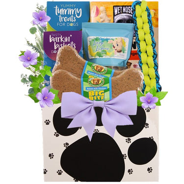 Sick As A Dog Gift Basket