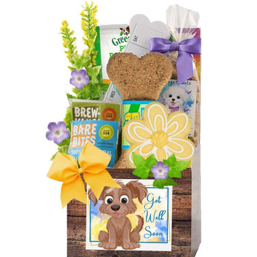 Dog Get Well Gift