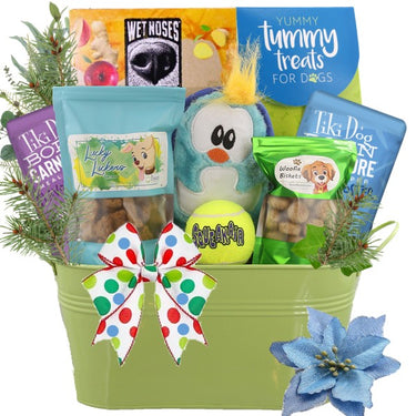 Fetch and Catch Holiday Dog Gift