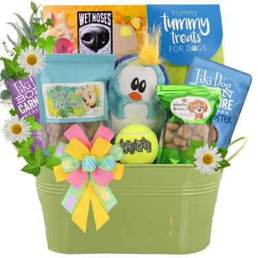 Fetch and Catch Easter Dog Gift
