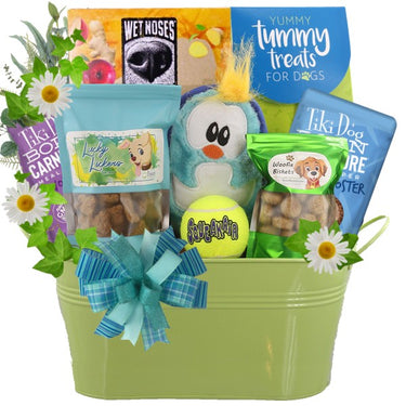 Fetch and Catch Dog Gift