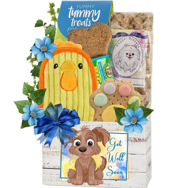 Back on your Paws Dog Gift Basket