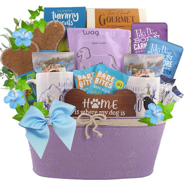 Best Friends Dog & Owner Gift