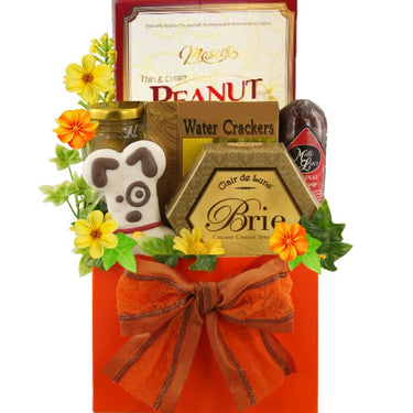 All Smiles Dog & Owner Fall Gift