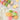 Variety of French Macarons Gift