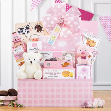 Welcome Home Baby Girl Gift Basket