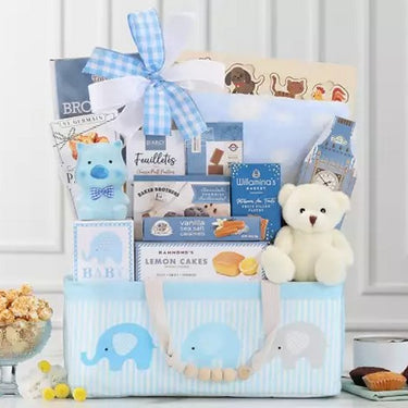 Bundle of Joy - Blue Gift Basket