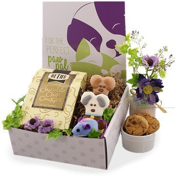 Pet Lover Care Package (Dog, Cat, Owner)