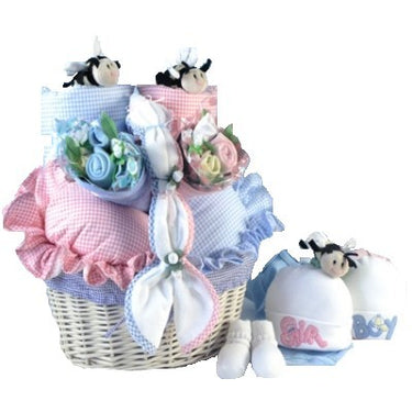 Baby Basket Gift for Twins