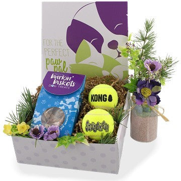 Tail-Wagging Treats and Festive Fun Holiday Dog Gift Bundles